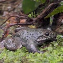 �������ʯ���r�����l�r����wֱ�lș�ş���ʳ�aʯ�[ʯ������