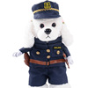 Cross -border pet clothes are funny with a knife and transformed into pet puppy Halloween pet products dog clothes autumn