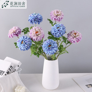 ���滨 ������ �������ҾӾƵ��cܛ�b廨ˇ�[���f�۾ռٻ�