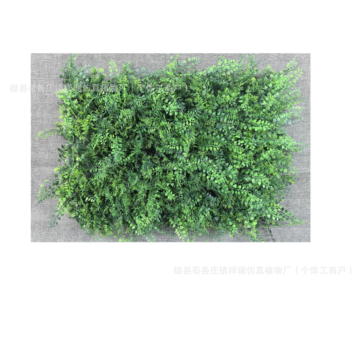 Realistic three dimensional plastic artificial plants, internet celebrity 4