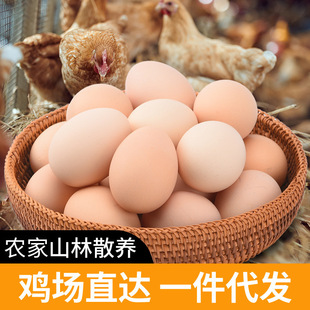 ���ϼ����u��10ö �r��ɢ�B���u�����r���l���u�����u��һ�����l