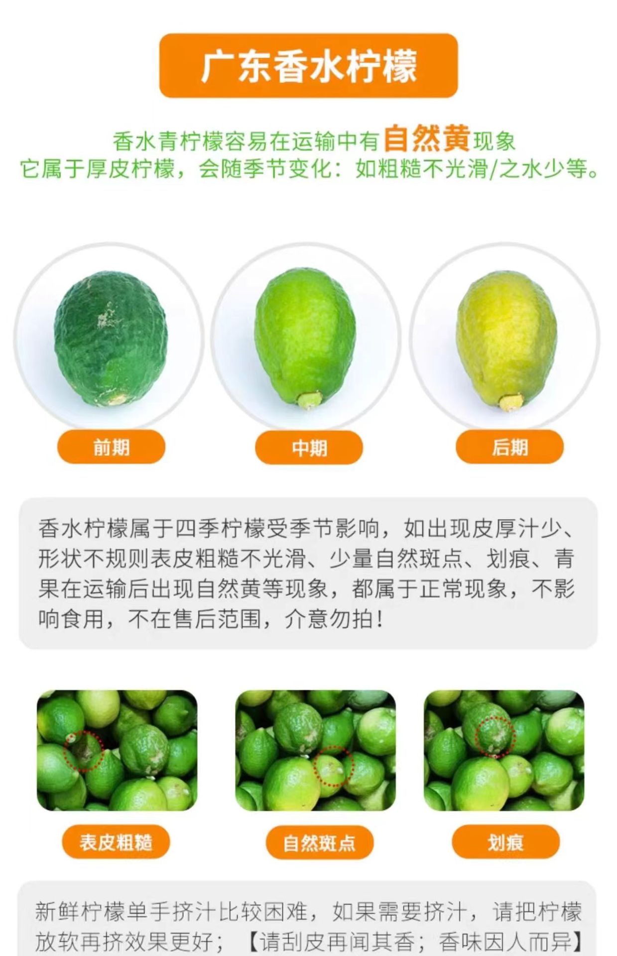 微信图片_20240731094939