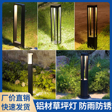 ledƺˮsF@eͥԺ@ֵزݵ؟