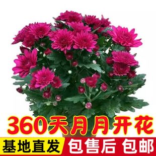 �ļ��_�����m���M�ھջ����ͺ��׻��ļ��_�������҃����̨�Gֲ��