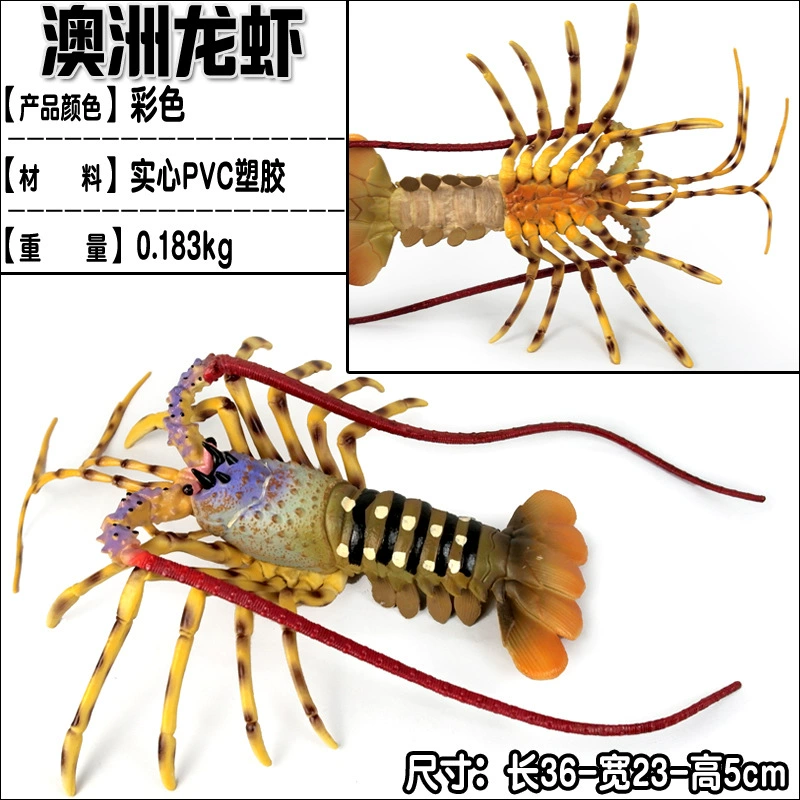 Игрушка, большие морские когнитивные украшения
