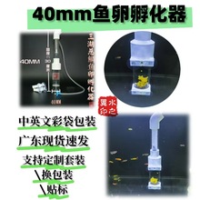 40MM三湖慈鲷鱼卵虾卵孵化器南美异型卵生底栖鱼卵孵化现货速发