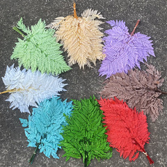 Yunnan Natural Alpine Sheep Fescue Eternity Flower Decorative Plant Pressed Flower Craft Nordic Fresh Style Decoration