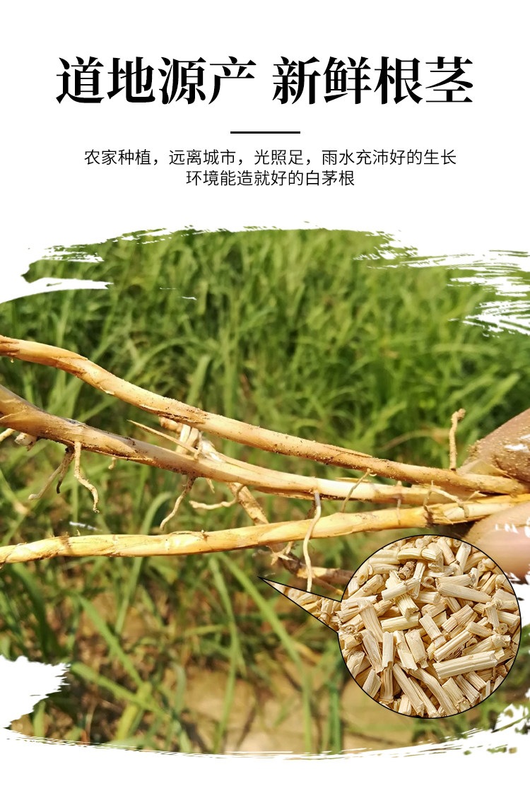 Dried Cogongrass Root Bai Mao Gen 500g Wild-Harvested Chinese Herbal Tea Ingredient overview