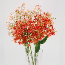 �������㻨��@�LСҰ�ջ�Ұ����ˇ���㻨�ٻ��b���ˇ�Ҿ��b�