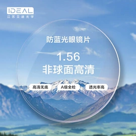 眼镜片;其他眼镜