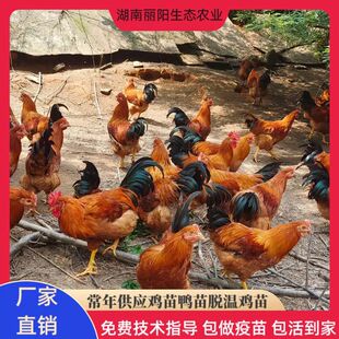 ���������l�u����w�`ɽ���u���t���u�����С�u����Ó���u��