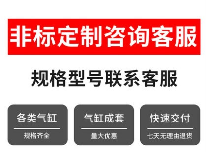 ����ֱ����׼���� SC80/100/125�����������ɵ�˫�г����� ���Ͻ�