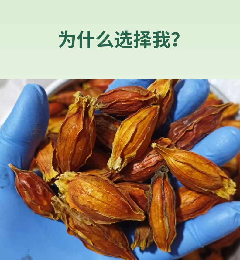 Dried Gardenia Fruit Zhi Zi 500g Red Gardenia Jasminoides for Herbal Tea and Decoction key features