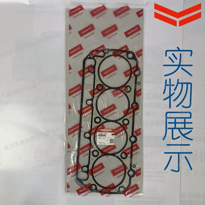 Gasket for – Yangma Cylinder and parts