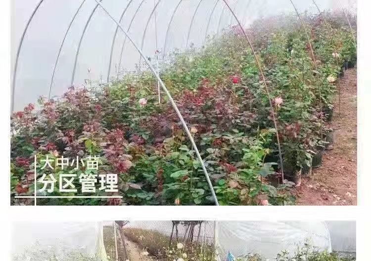 ece1ef22-36c5-4a2d-a3f1-933095f82fad.jpe