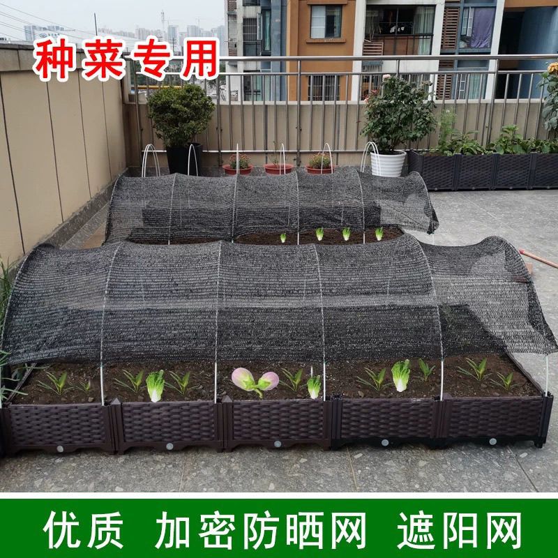 小拱棚遮阳网蔬菜花卉中药材菜地菜园子遮阳防晒育苗专用遮阳拱棚