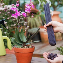 �����m��֧���m�A��֧�ΗUֲ�����ٻ��܏����̶��F�z֧�܈@ˇ