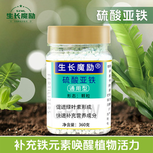 ���Lħ�� �������၆�F���wˮ�ܷʈ@ˇ�m������ϲ��ֲ��������l