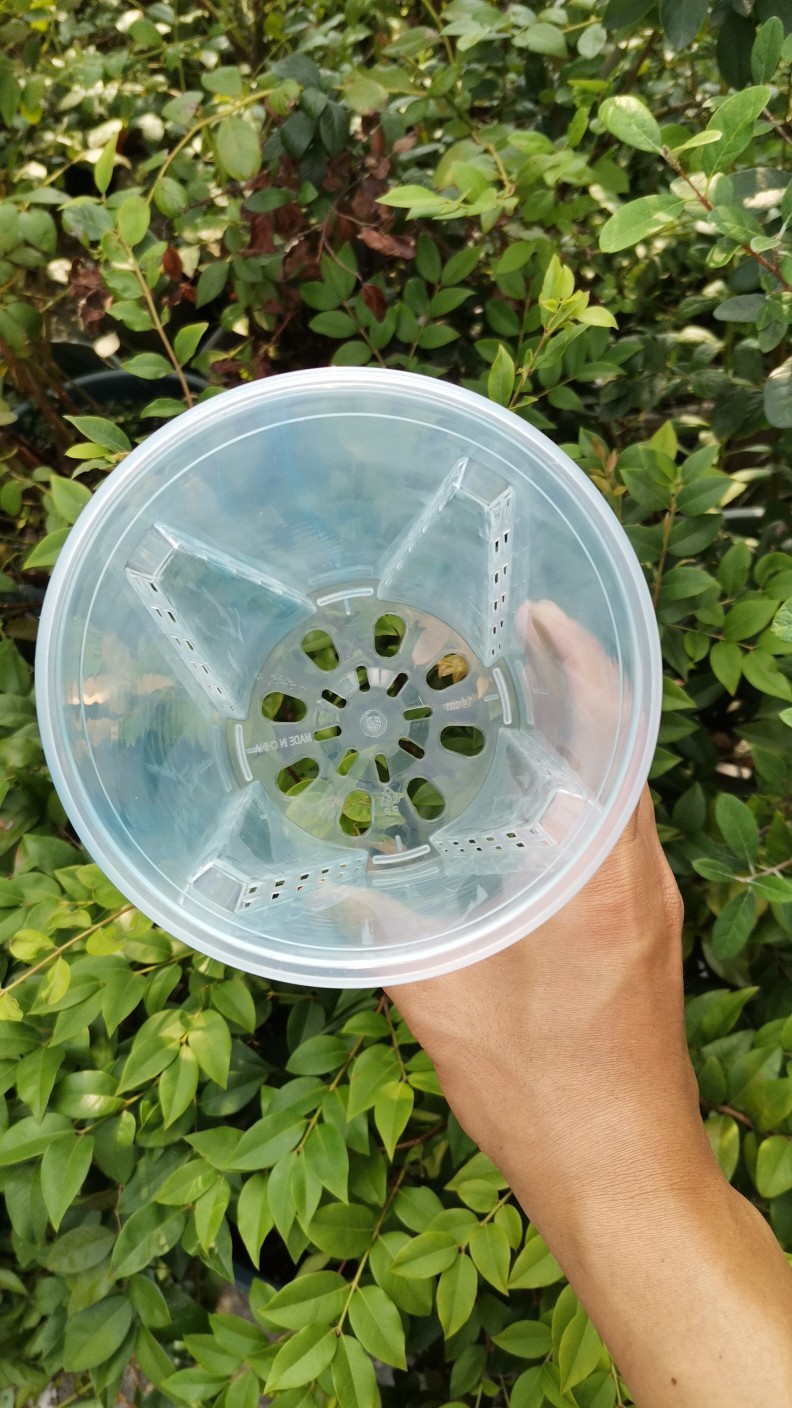 O1CN01kfNOde1JOHu1BgT0z_!!4663