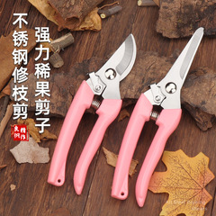 Stainless steel garden flower scissors, fruit pruning scissors, flower scissors, potted plant household scissors, special scissors for flower arranging