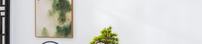 a6de952b-14cf-4c35-9b45-6095b59f17a2.jpe