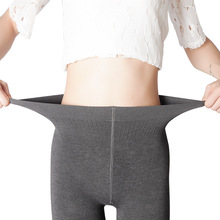 厂家批发女士春秋款棉踩脚打底裤 吸汗显瘦提臀女外穿九分连裤袜
