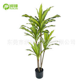 仿真巴西木巴西铁树大叶黄芯巴西盆栽北欧客厅装饰造景批发旅人蕉