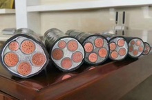 ����˾�������͉������| YJV    YJV22   1.5��300ƽ��