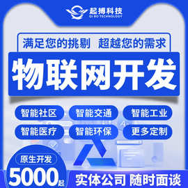 物联网app开发软件外包数据采集系统互联设备管理系统软件开发