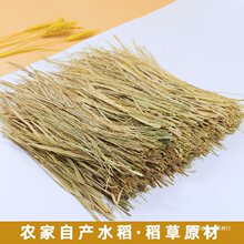 真实稻草干草垫宠物兔子窝垫脚垫材料家禽草窝冬天保暖窝水稻谷草