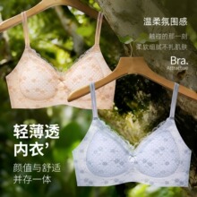�ļ������ٽz����Ů����V�I������ع����z�l���д��B��ȹ�����L
