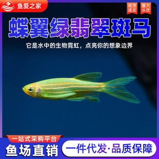 �����G�����R�~�^�p�~�Ꭷ��ˮ�~�û��B�~���ͻ�С�ͻ��w�߲��~