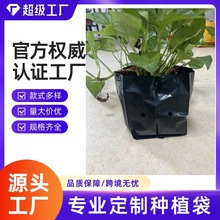 哇噢种植袋椰糠条种植条甜瓜草莓西红柿有机营养土黑白袋轻便花盆
