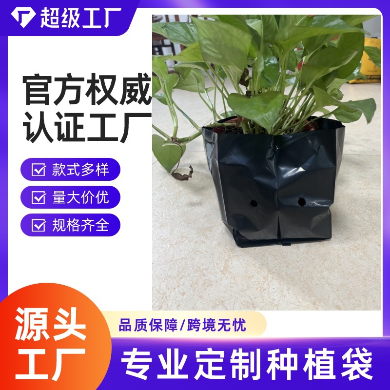 哇噢种植袋椰糠条种植条甜瓜草莓西红柿有机营养土黑白袋轻便花盆
