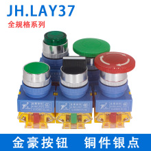 ���������o�_�PLAY37-11BN���o��ͣƽ�^�ԏ�λ���Ӱ��o�_�P22mm