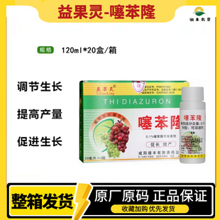 ����`�籽¡���Ѵ�������`��߮a�����M ���L�{�������