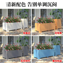 �����̨����ľ����ͥԺ�L����ľ�|���ۻ��@��ɫ���⻨��M�ϻ���