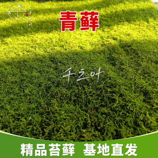���\��̦�\�쾰ͥԺ��ƺ���ɻ��ʸ���̦�ٴ�Gֲ����ֱ�N���l