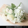 White chrysanthemum