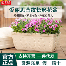 ����˼FIRENE͹�y�L�Θ�֬���軨�ܾGֲ���s��������������z