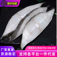 新鲜速冻鲽鱼片中段比目鱼片冷冻鲽鱼块海鱼段商用海鲜水产批发