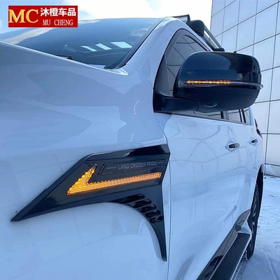 Big Surrounded front and rear bumpers, Black - black-warriorleaf-plate-light