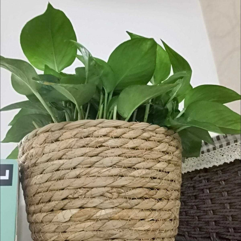 编织花盆草编花篮北欧风抱抱桶diy客厅阳台装饰盆栽绿植套|undefined