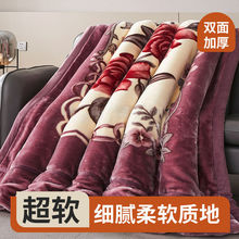 双层加厚冬季拉舍尔婚庆毛毯被子学生宿舍双人绒毯结婚毯大红毯子