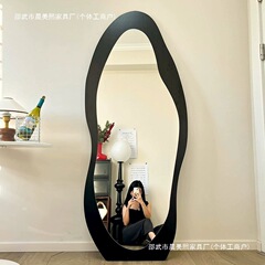 中古全身鏡、家庭用床鏡、ネット有名人の特殊形状鏡、壁掛け姿見、寝室フィッティングミラー