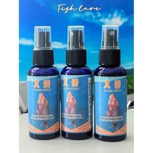 X�T�~�����Сș����Ѫ�����D�Ϻ���~�D���|���^�~���~���~�Tʳ