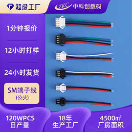 定制SM端子线2pSM红黑端子线束LED连接线对插SM2.54端子线束加工
