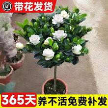 �d�ӻ����Ի���ֲ���҃��ļ��_���������̨�Gֲ�����ʹ������B