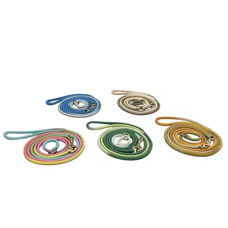 Соревновательный класс собака P веревка профессиональная веревка для дрессировки собак Путешествия тонкий воротник P цепь Прогулка собак Тяговая веревка воротник соревновательный Канат