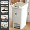 Hand press + foot pedal [30l]